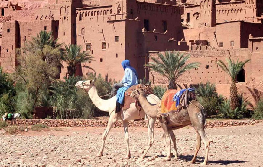 VIP 4 Days Morocco Desert Tour from Marrakech