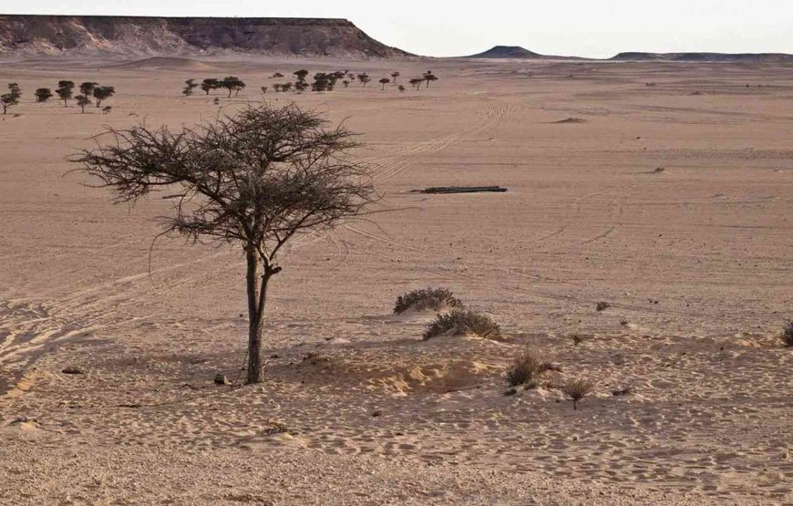 VIP 4 Days Morocco Desert Tour from Marrakech