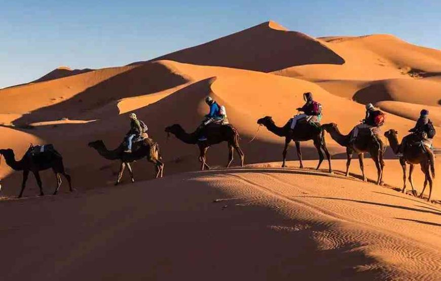 Group 3-Day Tour from Marrakech to Merzouga
