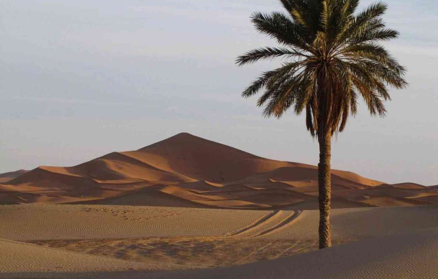 VIP 4 Days Morocco Desert Tour from Marrakech