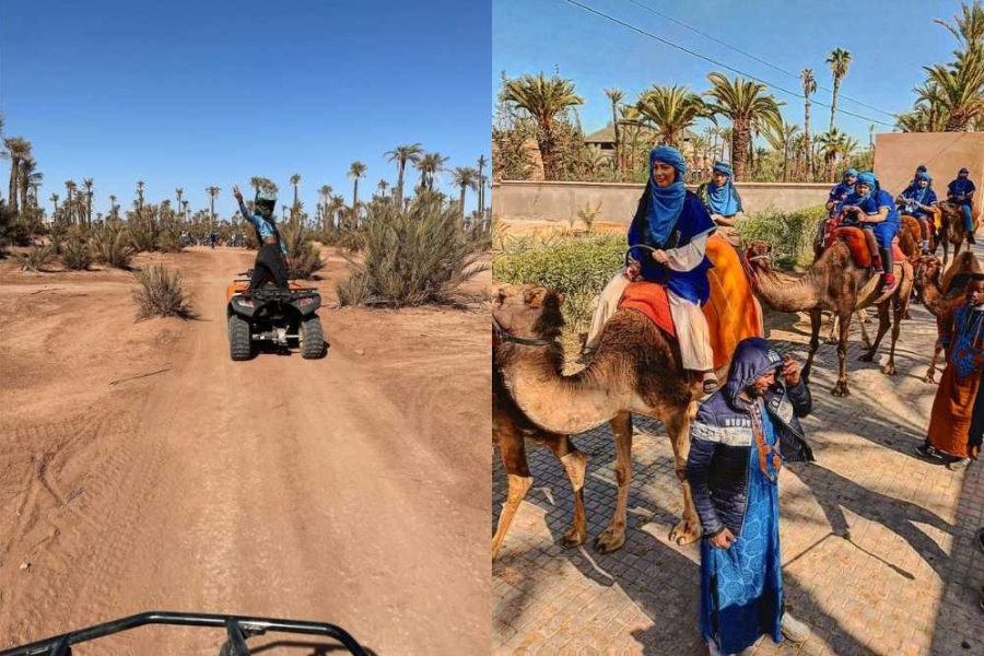 Quad Bike and Camel Ride at Palm Grove