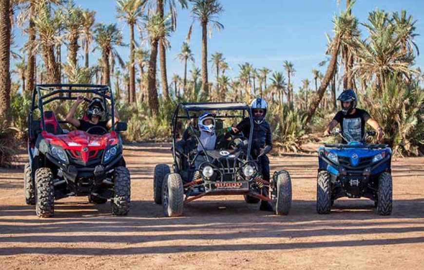 Buggy Ride in the Palmeraie of Marrakech