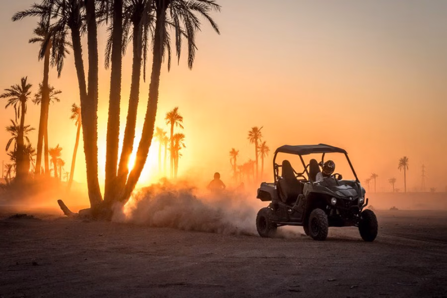 Buggy Ride in the Palmeraie of Marrakech